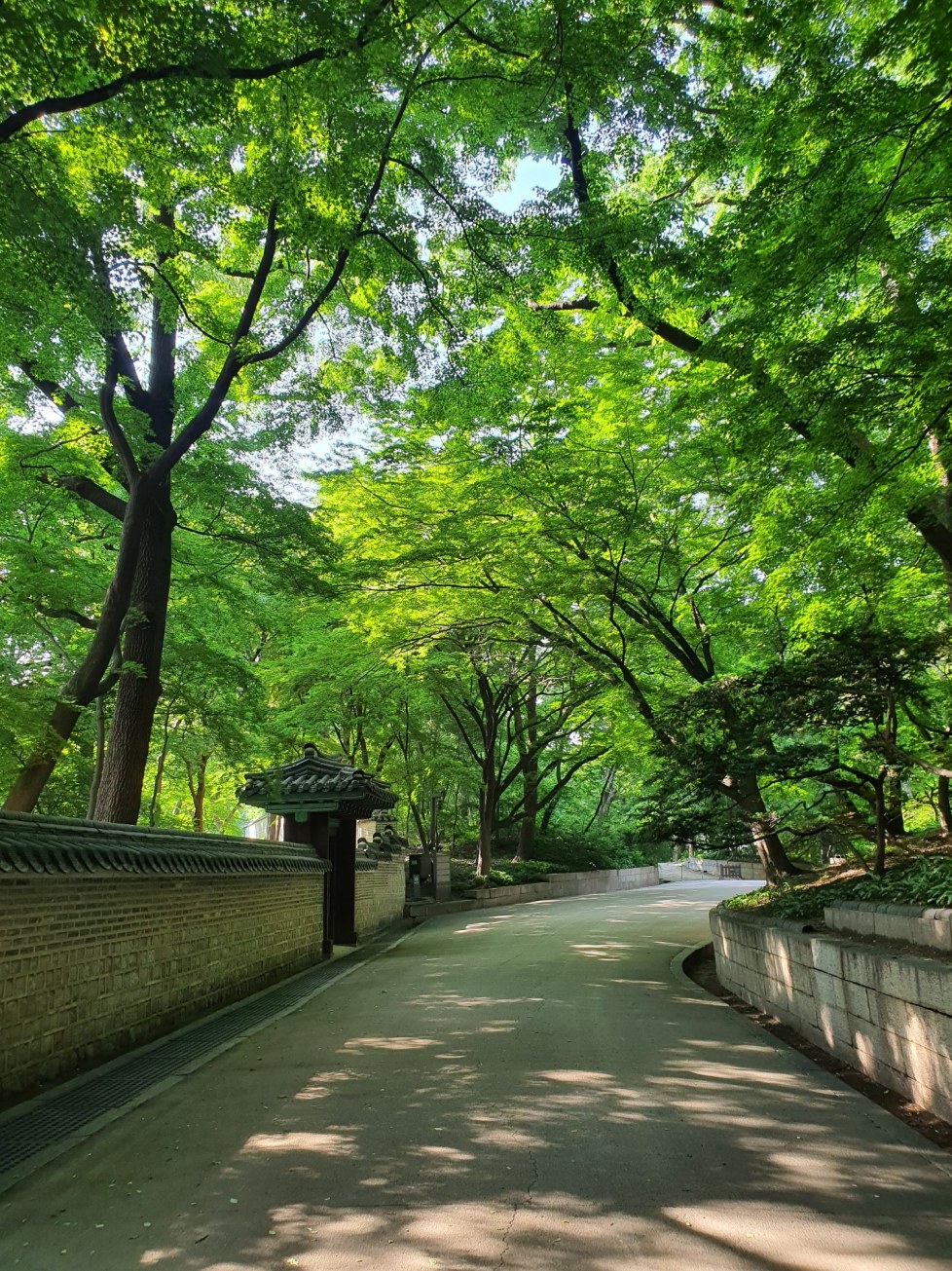 후원입구