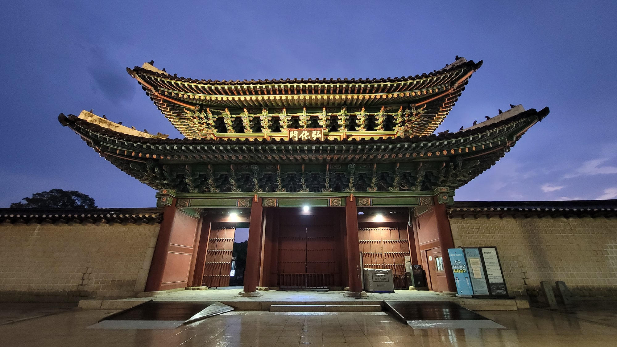 Myeongjeongjeon Hall and Cherry Blossoms in Changgyeonggung – Night Opening Highlight