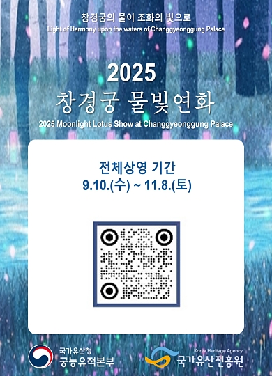 물빛연화