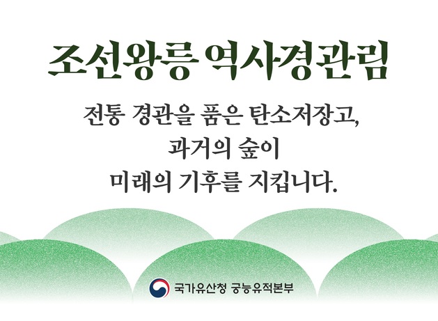 조선왕릉 역사경관림
전통 경관을 품은 탄소저장고, 과거의 숲이 미래의 기후를 지킵니다.