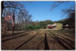 식재의 보존/관리 이미지